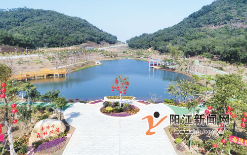 金鸡岭森林公园