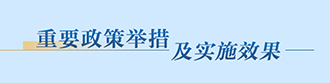 重要政策举措及实施效果