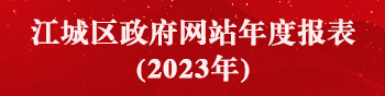 2023年江城区政府网站年度报表