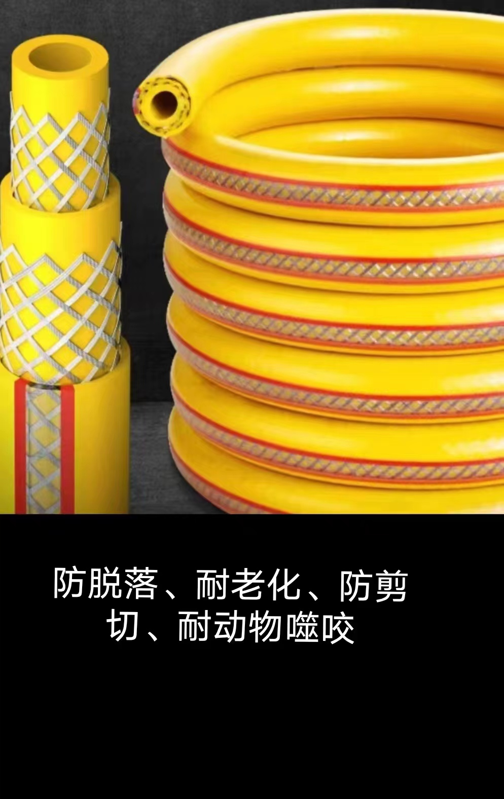 图片12.png