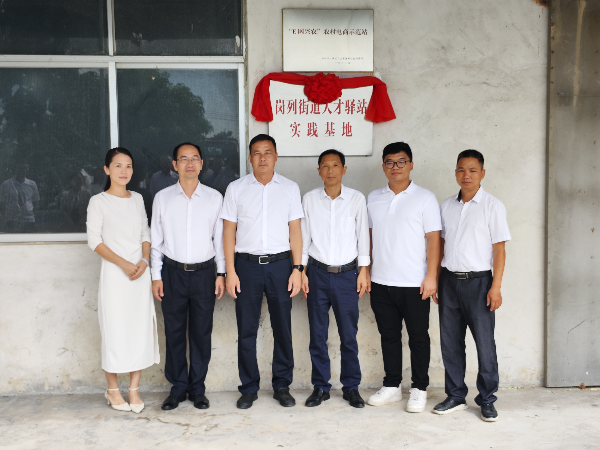 阳江市江城区人民政府门户网站