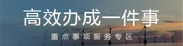 “高效办成一件事”重点事项服务专区